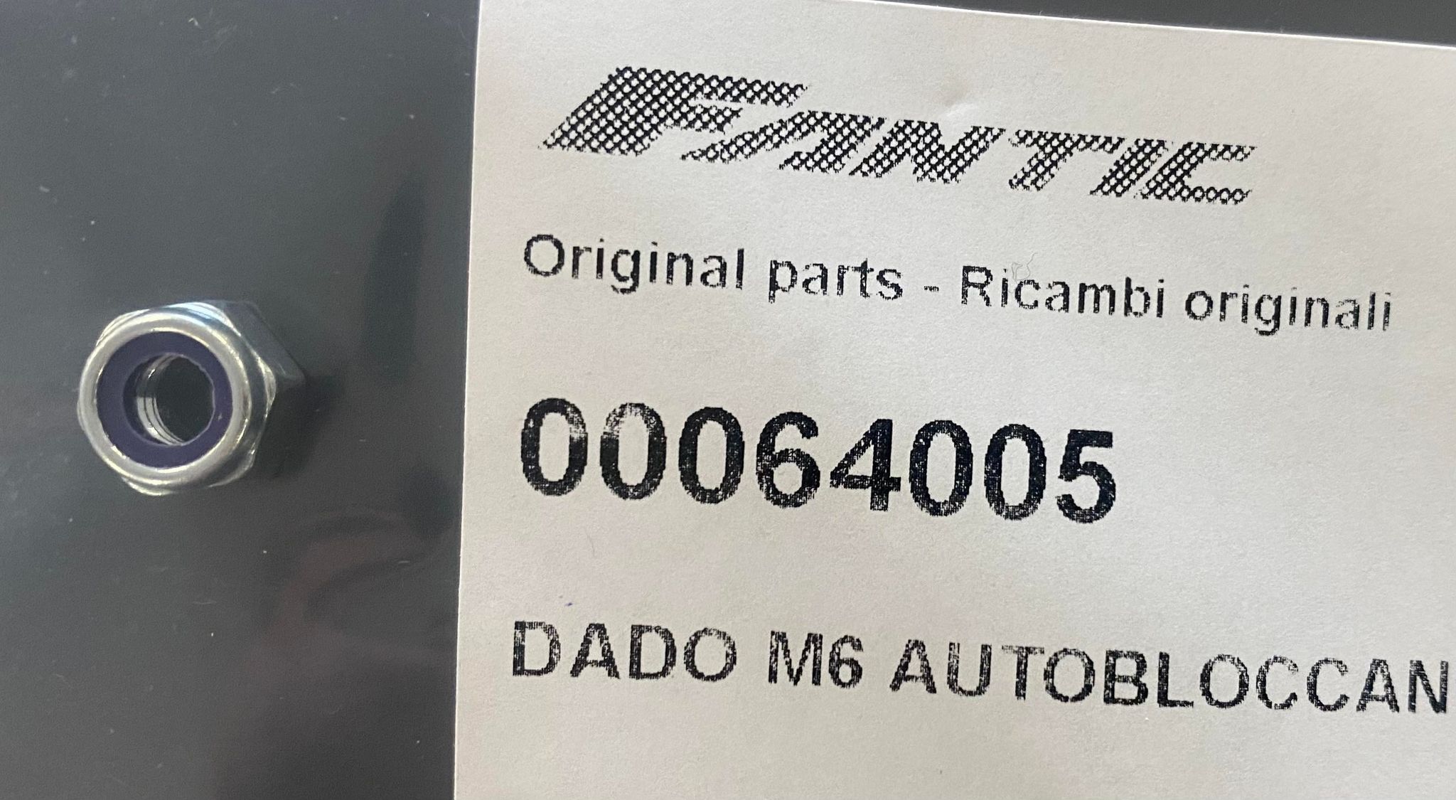 00064005_324918891_755706952094681_5270726711036965117_n.jpg