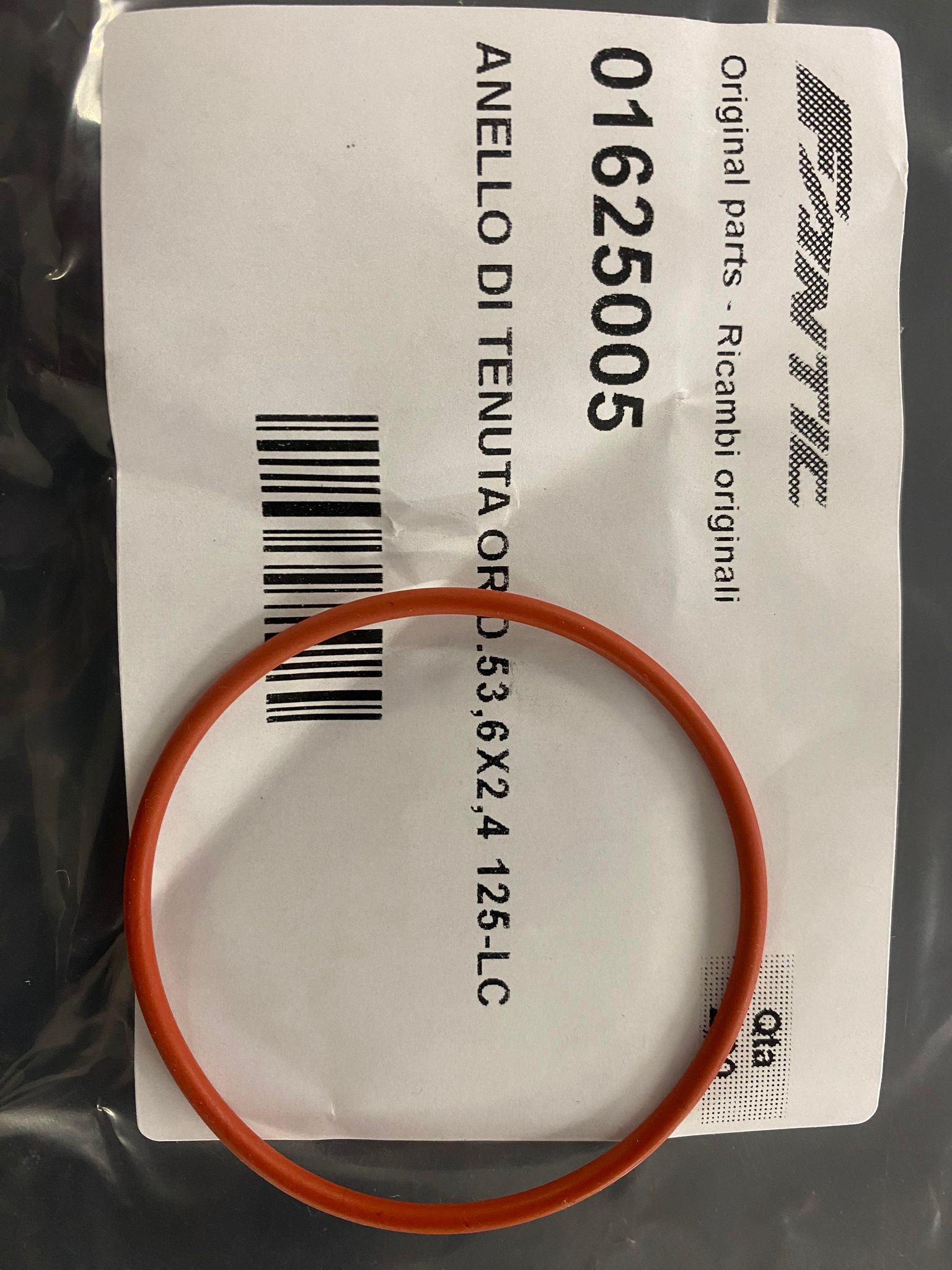 01625005_4rmWXLdvtw_322156146_504354921804145_2997840546178652938_n.jpg