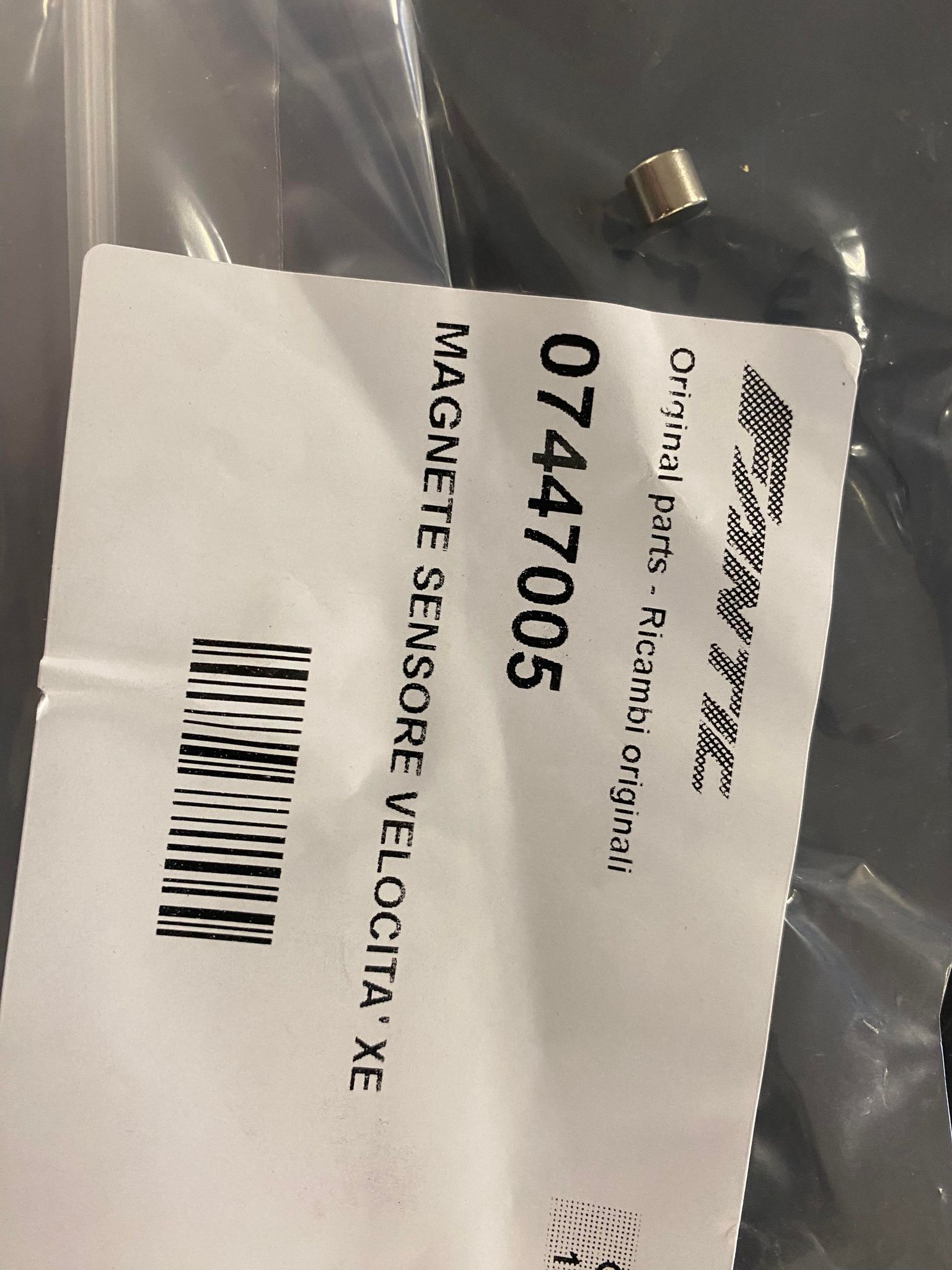 07447005_CdSQkejnZN_321912472_2099235567133050_119781109822762300_n.jpg