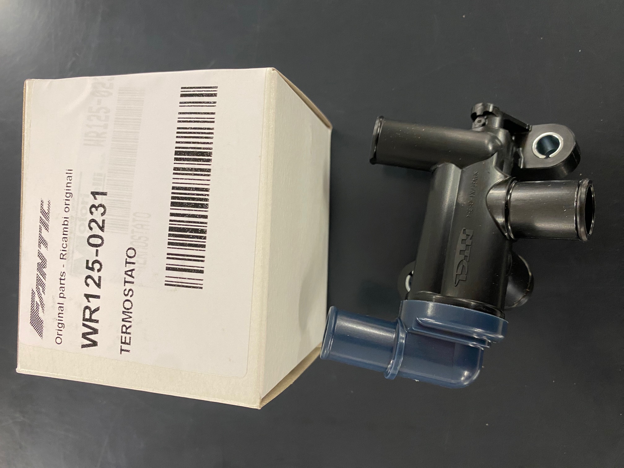 WR125-0231_nfgdfhgd.jpg