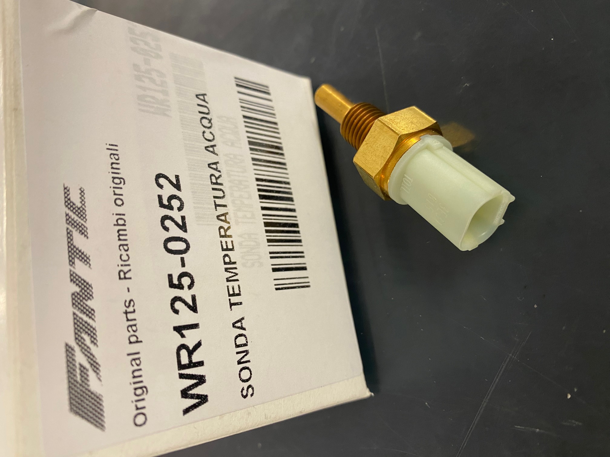 WR125-0252__nhfxgnwcghfxfgn.jpg