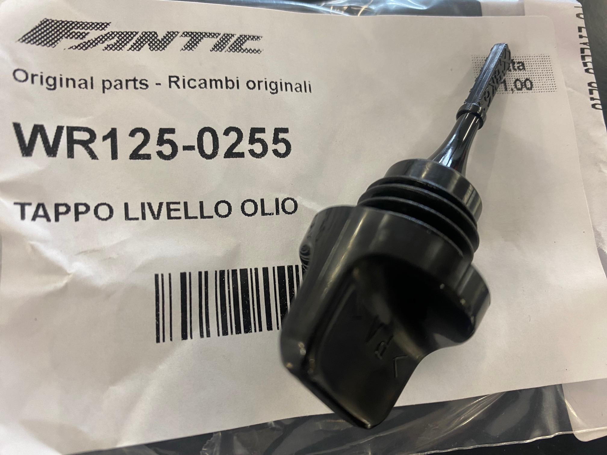 WR125-0255_CSXGTFWCS_RVSDWTF.jpg