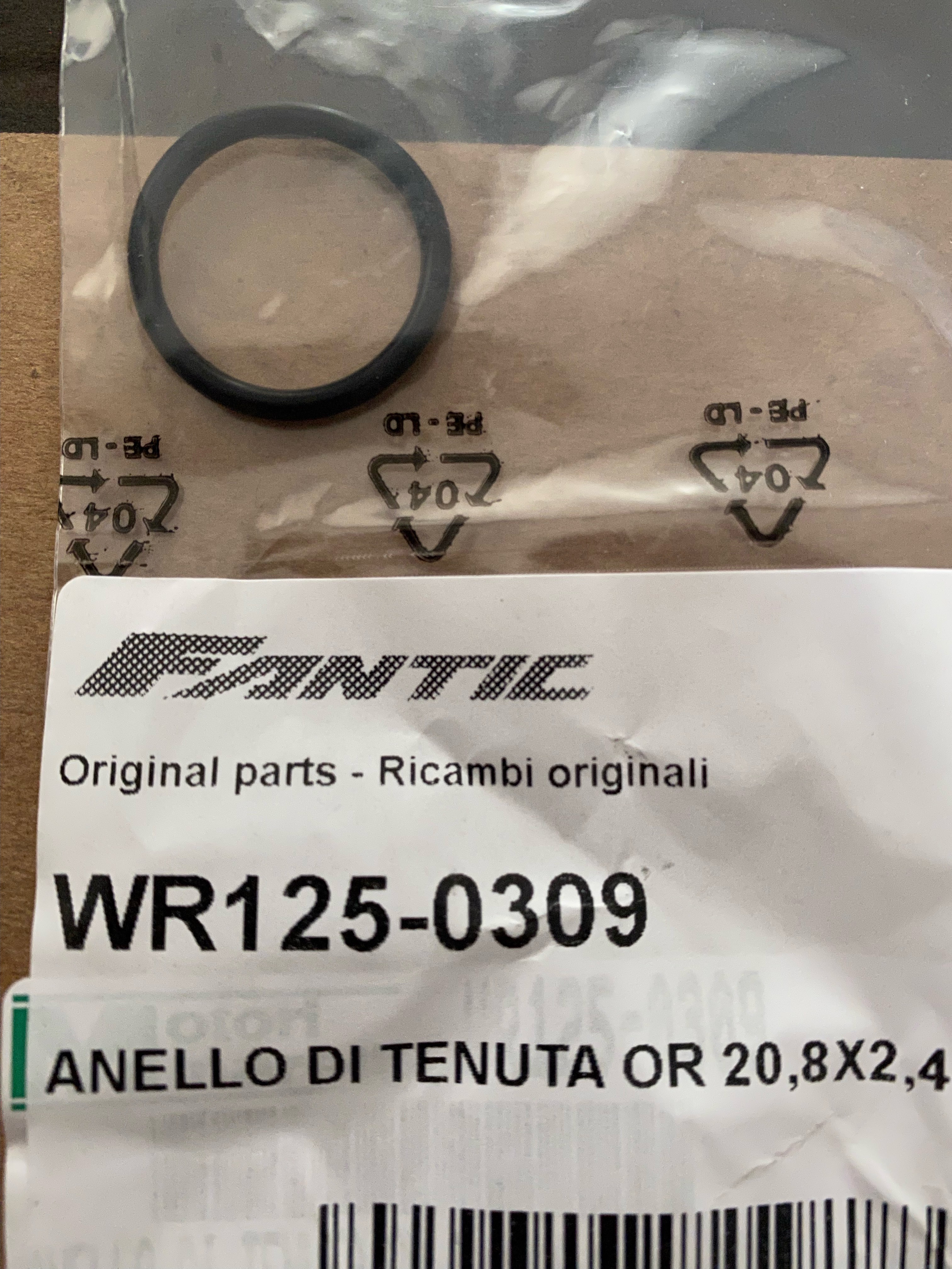 WR125-0309_edfghytrdfghjytrfdfv.JPG