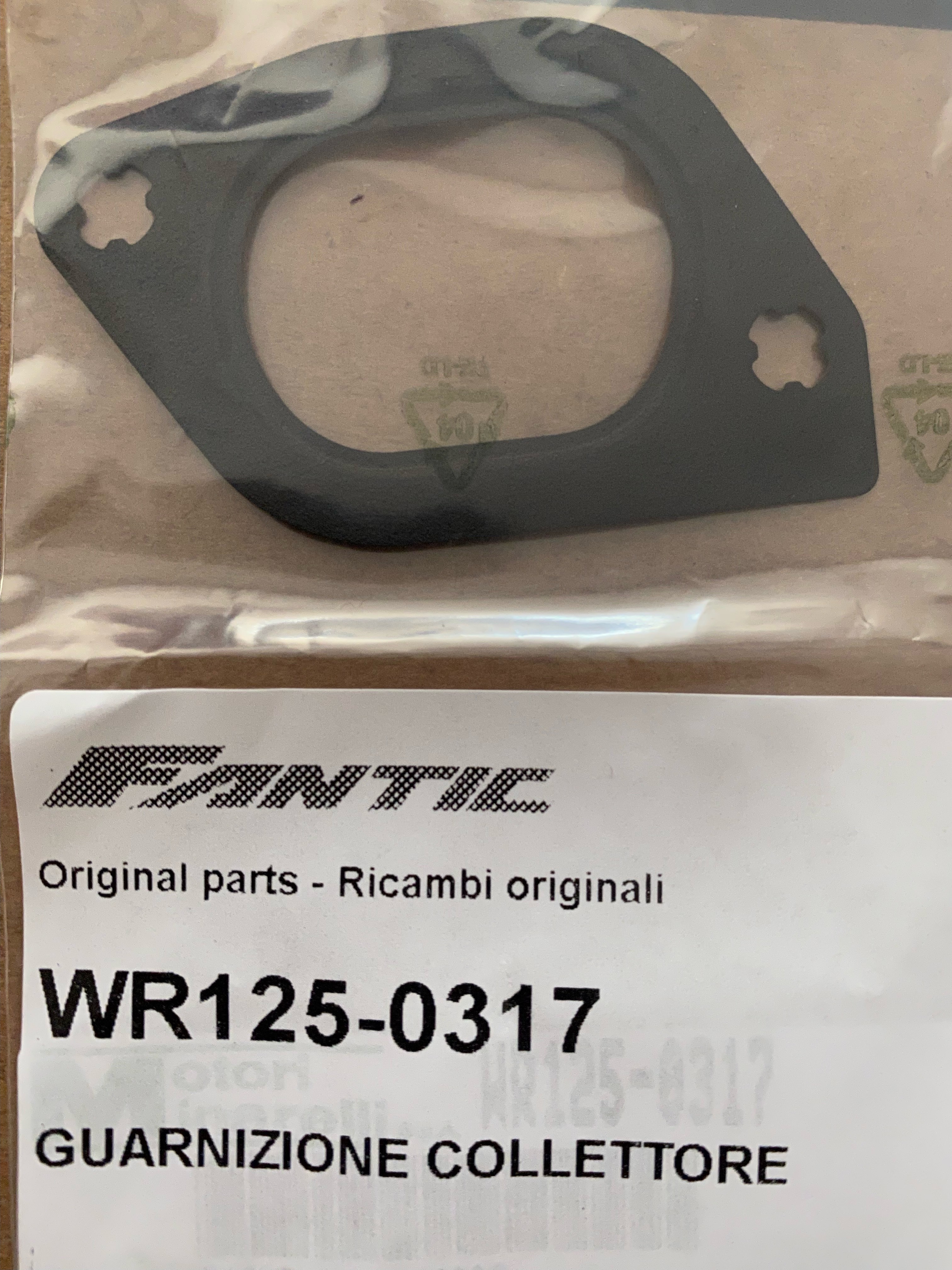 WR125-0317_njuytfrdcvbnjhytgf.JPG